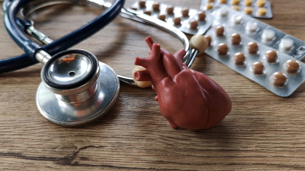 Miniature Heart Model with a Stethoscope